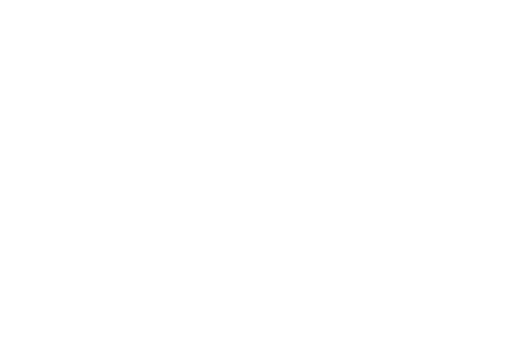 ДРАГИЕВ И КО